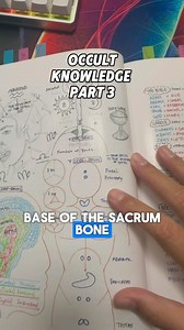 19K reactions · 8.7K shares | Linktree.com/embodimentcelestial Join the Celestial University, home to over 80,000 enlightened beings. Our vast occult library, with nearly 3,000 rare and ancient texts dating back to the 1100s, holds forbidden knowledge they won’t teach you in any school. | Embodiment Celestial | Facebook