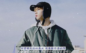 [Stray Kids中字] SKZ-RECORD HAN - Alien