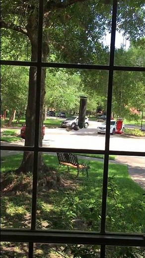 Yankee Flipper - Determined squirrel flings from spinning bird feeder