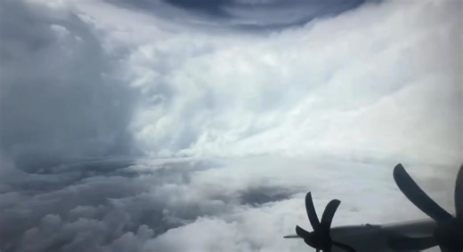 #ÚltimaHora| 🚨🌀 "Birds in eyewall". Reportan aves atrapadas en el ojo del huracán. | Tulum en Línea