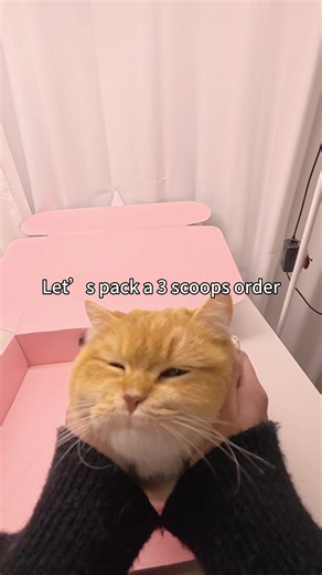 Packing Mystery Orders with Lucky Scoop