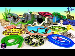 Snakes Serpent Reptile Viper Basilisk Vermin Slithery Nope Ropes साँप সাপ Sneks 13+