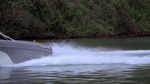 Pirania. 1978.pl. BRRip. 480p. XviD. AC3-LTN