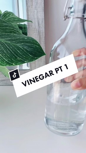 Natural Cleaning Tips: Vinegar Hacks for Eco-Friendly Living