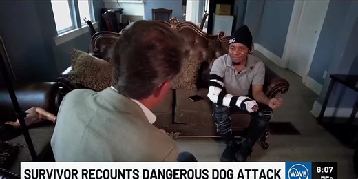 Survivor recounts dangerous dog attack in Algonquin neighborhood