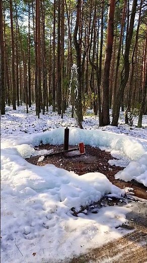 🇵🇱 Piezometer - Fountain. Laski. #fountain #waterfall #travel #winter #Laski #piezometer #nature