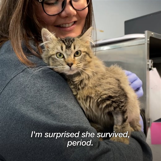 52K views · 4K reactions | Zora completely shocked our team by...