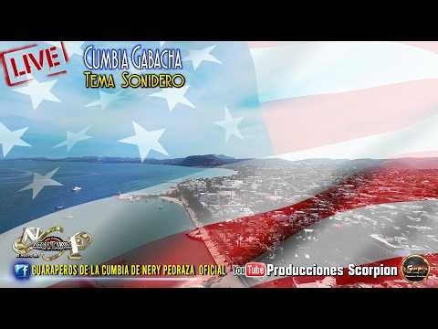 Cumbia Gabacha 🗽 Nery Pedraza and the Guaraperos de la Cumbia Live 🎙️ LIVE 4K 🔴