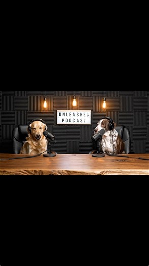 #dogs #pets #podcast #funnydog #pullupthatclip | Funny Dog Videos