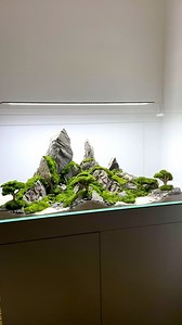 5.8K views · 67 reactions | Mountain Aquascape made for aquarium 100x50x50cm. If You looking for mountain scape made with natural Ancient Stone write to Us. #aquarium #akwarium #akwarystyka #nature #mountainlovers | Ancient Stone | Facebook