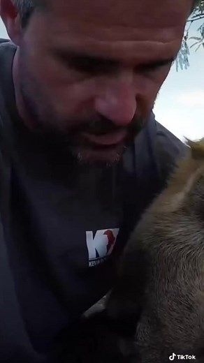 We'll take cuddles all day long #LionWhisperer #KRF #lions #lionrescue #lionsanctuary #wildlife #lioness #lion #bigcats