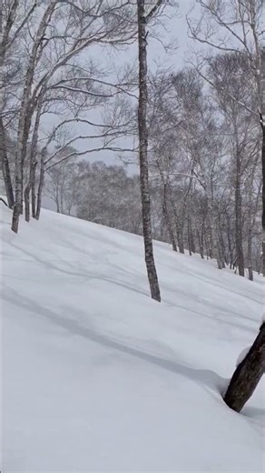 2026/3/10 定山溪溫泉 湯之花（定山溪殿）