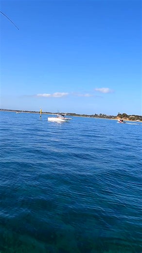 Good day for squid fishing 🦑🔥 The Squid didn't want to let go of the INKU Red Devil squid jig! 💥🎣 #squidfishing #inkusquidtackle #squidjig #squid #fishinglife | Inku Squid Tackle