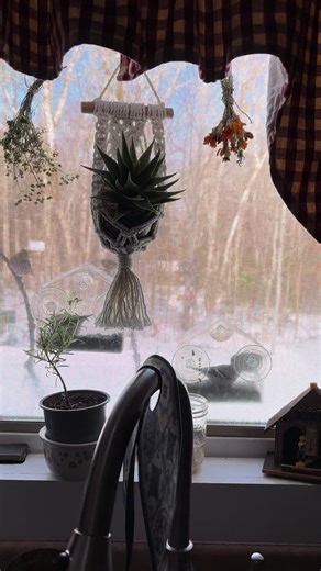 Enjoying a Relaxing Morning Watching Winter Birds in Nova Scotia