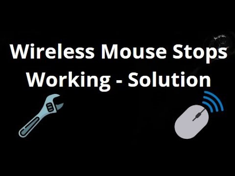 What to Do If Wireless Mouse Stops Working Full Solution