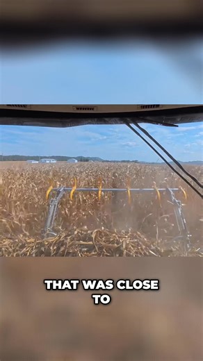 13K views · 150 reactions | A farmer shares how adjustments to their combine have significantly improved corn harvesting. They highlight the airflow kit and sieve settings. Last year's harvest couldn't match this year's pace without loss, even with lower yields. Tag a farmer who can relate! #cornharvest #yieldimprovement #farming #combine #harvest2024 | Brian's Farming Videos | Facebook