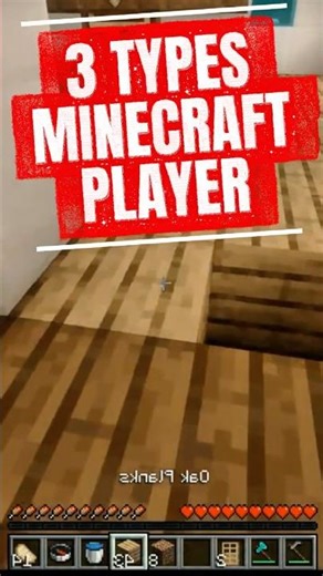 3 Types of Minecraft Players | Est. 100+ Hours Survival Build Experience