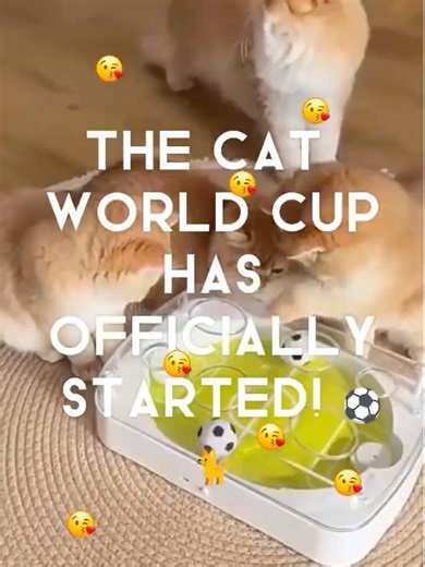 Unleashing CHAOS with the Smart Cat Soccer Ball! 😹⚽️ (Sound ON)