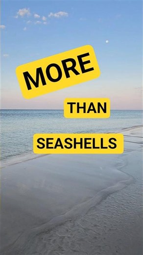 SHELLING IS MORE than Sand Dollars and Seashells 🤙 #beach #seashell