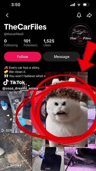 THE CAR FILES😱😱😱😱😱#shitpostmeme #gubby #funny #roblox #meme | the car files gubby