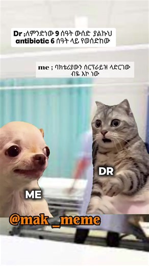 are copy link😭😭🙌