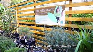49K views · 717 reactions | Want two free native plants? As part of...