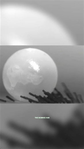 Micro - Robots The Future of Medicine Inside Your Body