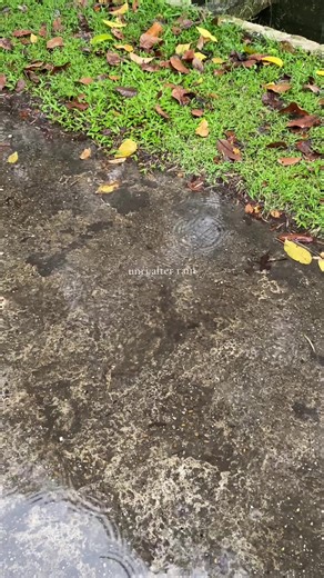 Unri Sejuk Pasca Hujan - Universitas Riau