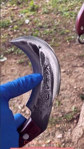 Climb Like a Pro! Eagle Claw Knife Tree Climbing Tool Demo