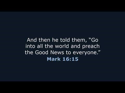 Working on the server @TheMurderBirdsSMP DEVstream