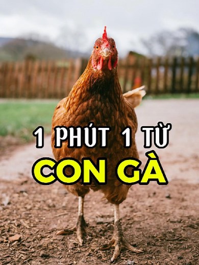 Siêu trí nhớ: Tăng cường khả năng ghi nhớ