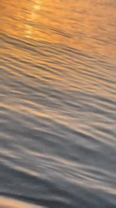 9.8K views · 231 reactions | 2025 : A Bahrain sunset. Video credit; @mabel_thecatxo | The Old Bahrain | Facebook