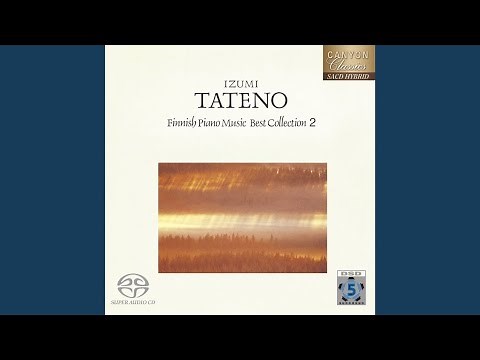 カスキ:夜の海辺にて 作品34-1