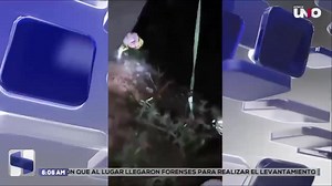 1M views · 104K reactions | Una familia lanzó hacia lo profundo de una barranca a un perrito, habrían intentado abandonarlo  Con información de @nat_quintero1 | TV Azteca Puebla | Facebook