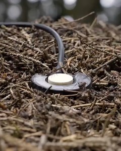 Turns out ants need to chew with their mouths closed 🤣 | UNILAD Sound