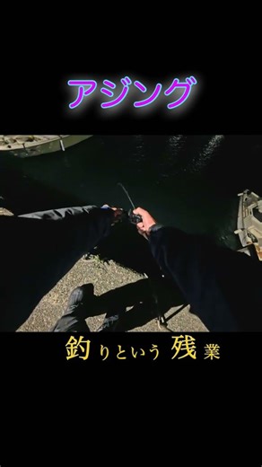 【アジング】爆風のなかでアジング#アジング#自作#ワーム#アジ#ジグ単#ベイト#ベイトフィネス#ベイトアジング#海釣り