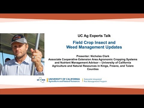 UC Ag Experts Talk: Field Crop Insect and Weed Management Updates