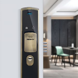 [Hot Item] Multi-Point Lock Exclusive Custom Fingerprint Lock C-Level Security Door Lock