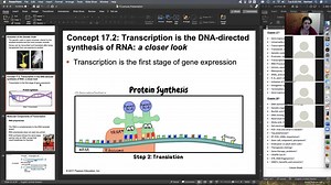 BIO 121 Test 4 Review Session