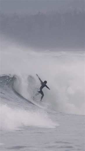 19K views | Conquering Cold Water since 1953. Body Glove Gold Cell Wetsuits & more available now! | Body Glove | Facebook