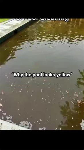 Explore the Best Swimming Pool Designs