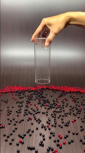 Science + Magic! Unbelievable New Experiment 😱 | Mix Language