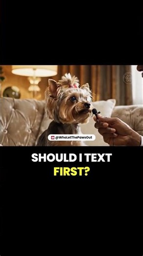 Your Pets Just Formed an Opinion About Your Searches 😾🐶