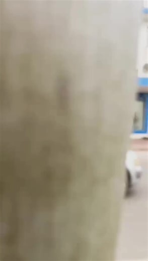 Mega auto dealers on TikTok