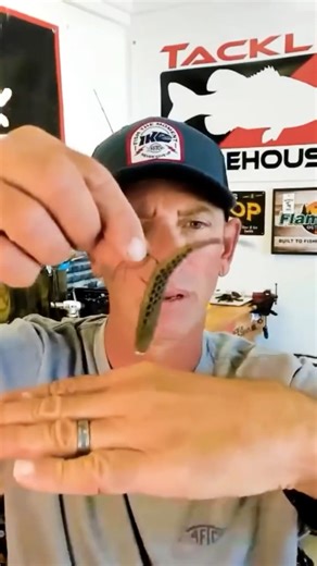 Bluegill imitation does not get much more natural than THIS! Berkley Fishing Tackle Warehouse #ike #ikeapproved #ikeintheshop | Mike Iaconelli