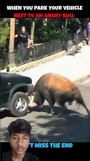 Angry Bull Attacks Car 😳 Don’t Park Here! #viralshorts #bull #animals