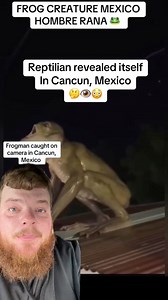 2.1M views · 49K reactions | Did a reptilian reveal itself in Mexico? #alien #reptilian #cancun #mexico #monster #news #scared | itsweirdtime | Facebook