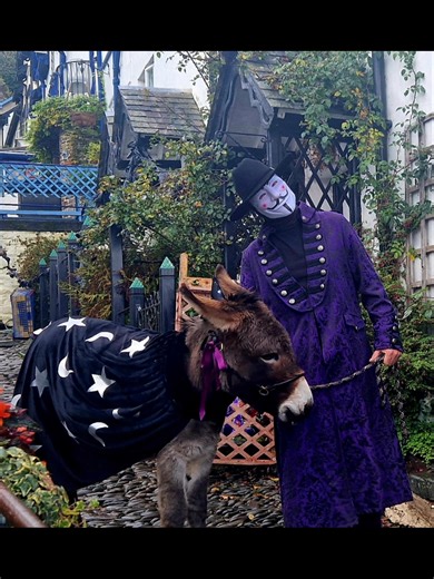 Fantastic #Halloween, with Clovelly Donkeys #spooky fun and games 🦇🎃 | Cottage Tea Rooms Clovelly