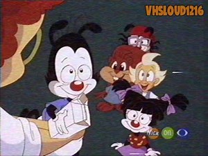 Animaniacs on...Nick on CBS?