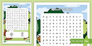 British Wildlife Word Search